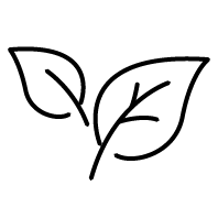 -100% Acetate